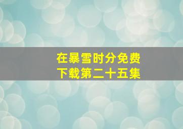 在暴雪时分免费下载第二十五集