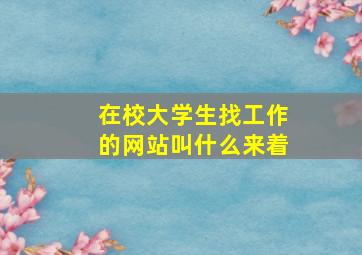 在校大学生找工作的网站叫什么来着