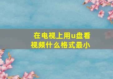 在电视上用u盘看视频什么格式最小