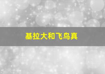 基拉大和飞鸟真