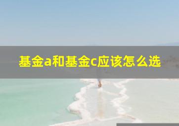 基金a和基金c应该怎么选