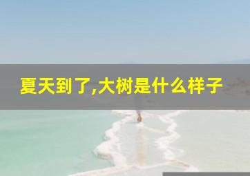 夏天到了,大树是什么样子