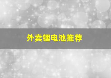 外卖锂电池推荐