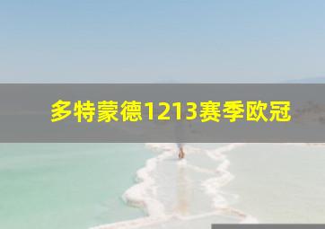 多特蒙德1213赛季欧冠