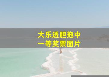 大乐透胆拖中一等奖票图片