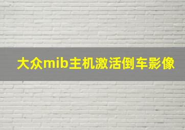 大众mib主机激活倒车影像