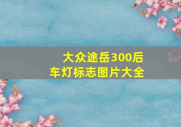 大众途岳300后车灯标志图片大全