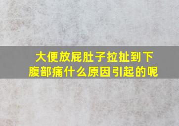 大便放屁肚子拉扯到下腹部痛什么原因引起的呢