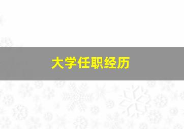 大学任职经历