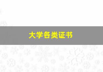 大学各类证书