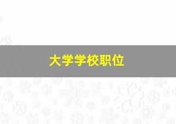 大学学校职位