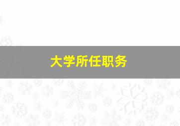 大学所任职务