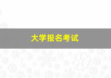 大学报名考试