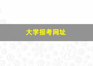 大学报考网址