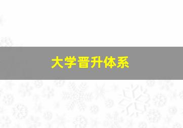 大学晋升体系