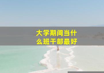 大学期间当什么班干部最好