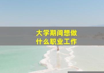 大学期间想做什么职业工作