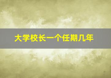 大学校长一个任期几年