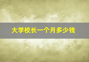 大学校长一个月多少钱