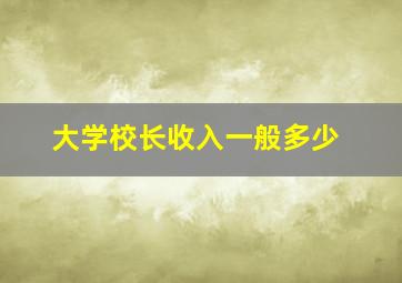 大学校长收入一般多少