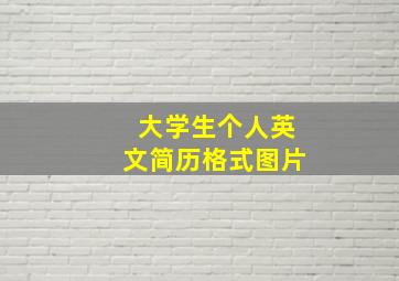 大学生个人英文简历格式图片