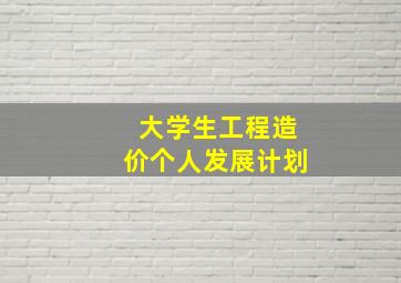 大学生工程造价个人发展计划