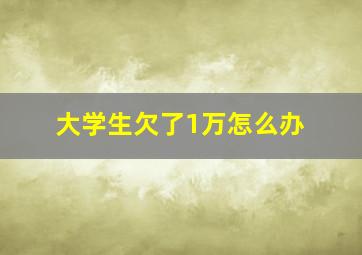 大学生欠了1万怎么办