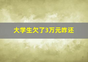 大学生欠了3万元咋还