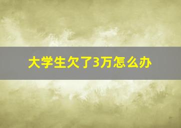 大学生欠了3万怎么办