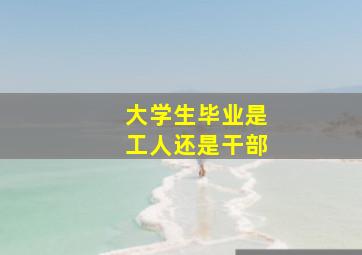 大学生毕业是工人还是干部