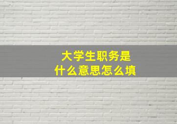 大学生职务是什么意思怎么填