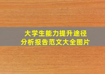 大学生能力提升途径分析报告范文大全图片