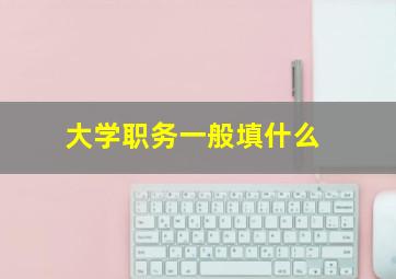 大学职务一般填什么