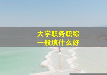 大学职务职称一般填什么好