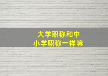 大学职称和中小学职称一样嘛