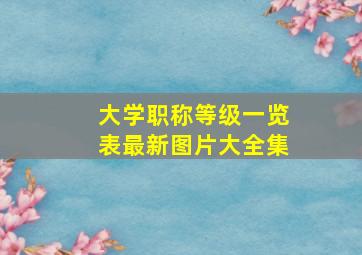 大学职称等级一览表最新图片大全集