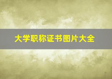 大学职称证书图片大全