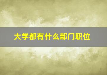 大学都有什么部门职位