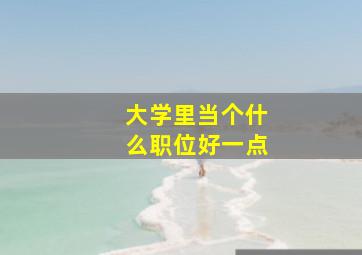 大学里当个什么职位好一点