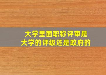 大学里面职称评审是大学的评级还是政府的