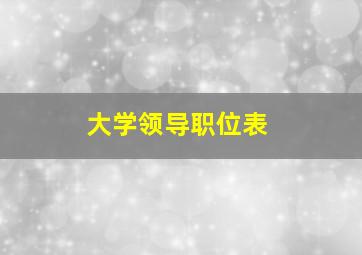 大学领导职位表