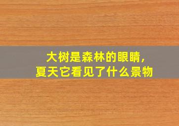 大树是森林的眼睛,夏天它看见了什么景物