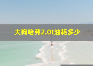 大狗哈弗2.0t油耗多少