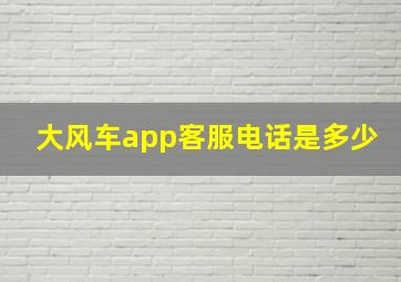 大风车app客服电话是多少