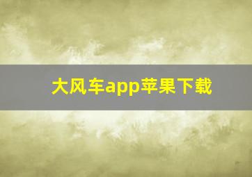 大风车app苹果下载