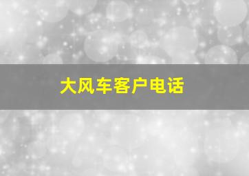 大风车客户电话