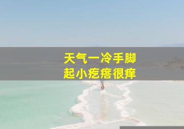 天气一冷手脚起小疙瘩很痒