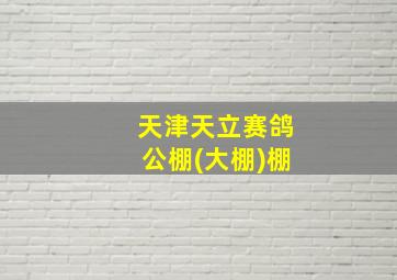 天津天立赛鸽公棚(大棚)棚