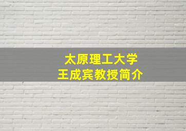 太原理工大学王成宾教授简介