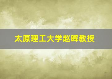 太原理工大学赵晖教授